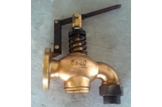 Self closing drain valve